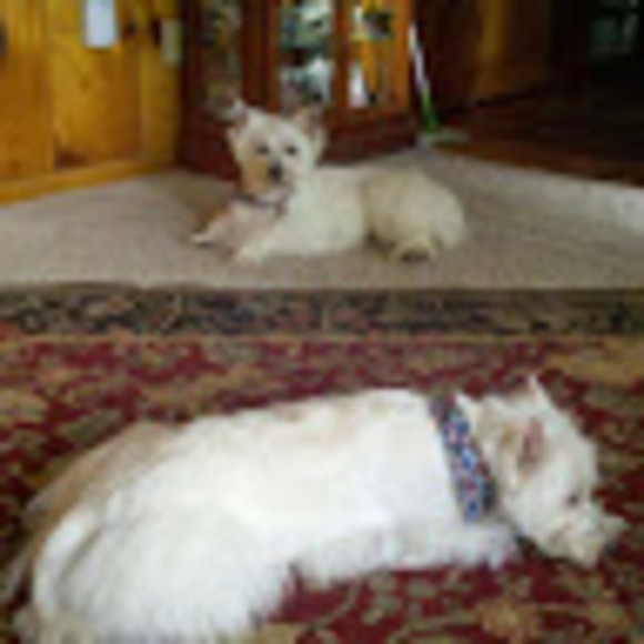 Meet your Posher, Laura - Picture 1 of 1